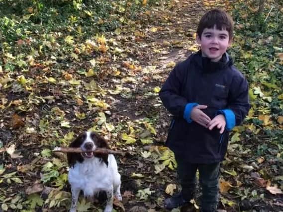 Alfie Dingley will finally be given a licence to have cannabis treatment to fight his severe epilepsy