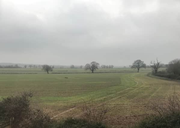 The site in Hampton Magna where the homes were set to go. Photo submitted.