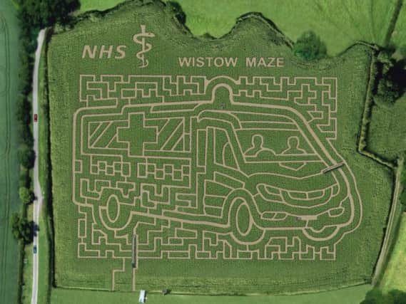 Wistow Maze