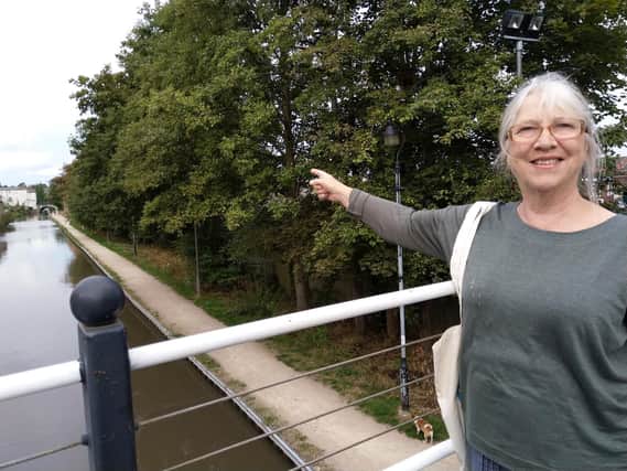 Cllr Jill Barker has launched a petition to save trees along part of the Grand Union Canal towpath in Leamington.