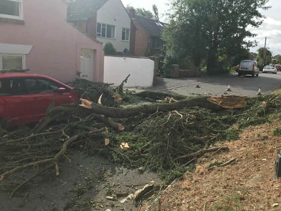The tree is blocking Abbey Lane. Photo: Southam Safer Neighbourhood Team