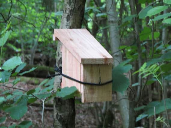 One of the nest boxes