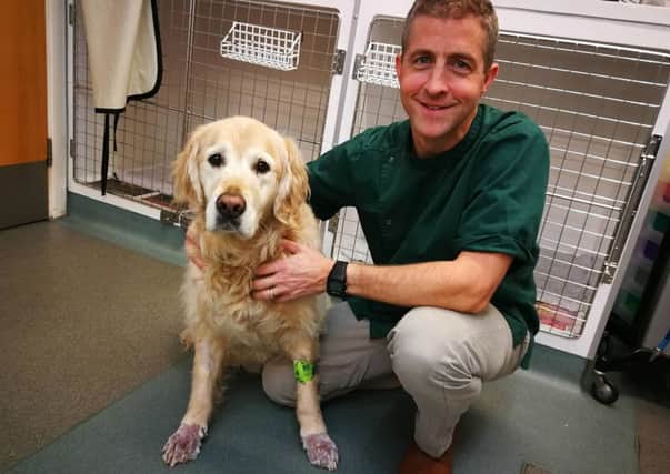 Pember, who was successfully treated by Avonvale Vets for seasonal canine illness, with clinical director Simon Davies.