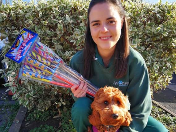 Veterinary nurse Hannah Ive with Rosie the cockapoo. Photo supplied.
