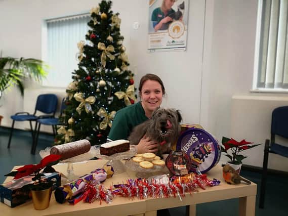 Vet surgeon Vicki Kelley and Polly the dog with some of the festive favourites which can be dangerous for pets.