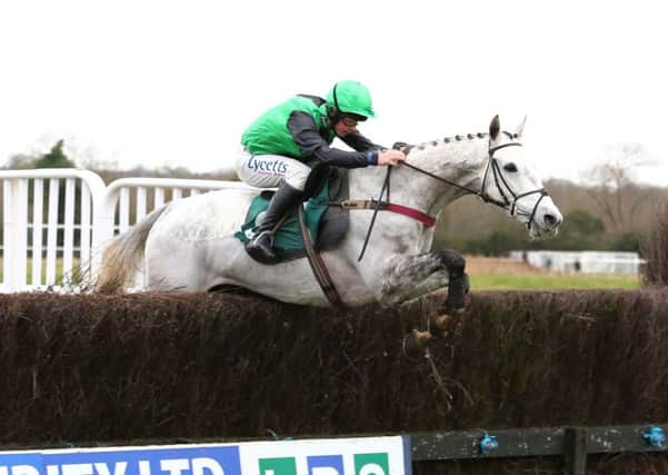 Commodore jumps the last in the Local Parking Security Handicap Chase. Picture: www.dwprattracingphotography.co.uk