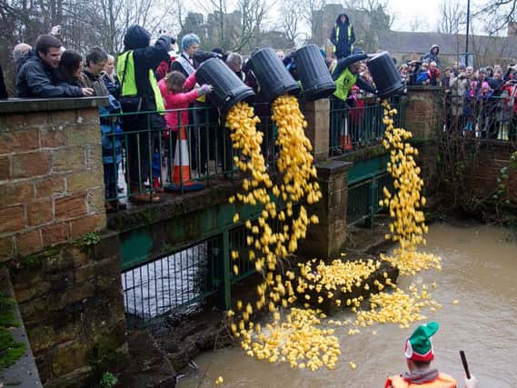 The Boxing Day Duck Race helped fund the money for the Dream Scheme