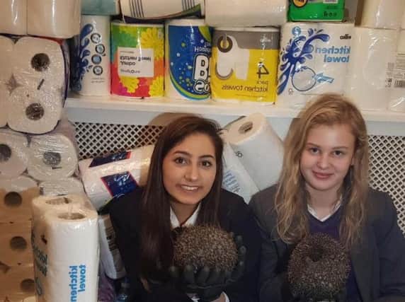 Kyra Barboutis and Sophie Smith, of Hedgehog Friendly Town, with two of the hedgehogs in their care called Scarlett Johogson and Sharon Hogsborne surrounded by the donated kitchen roll.