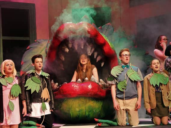 Spa Theatre Juniors perform Little Shop of Horrors