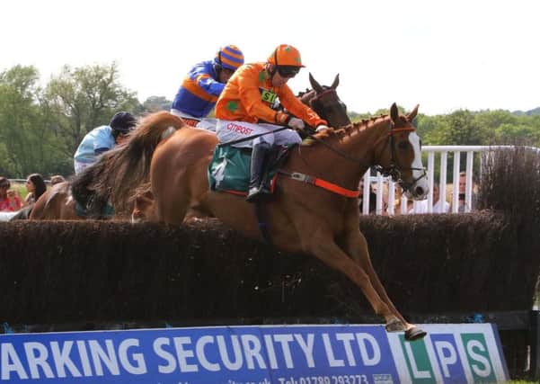 Double W's clears the last fence in the Wigley Group Carnival Handicap Chase. Picture: www.dwprattracingphotography.co.uk