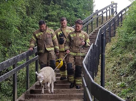 Photo courtesy of Warwickshire Fire and Service.