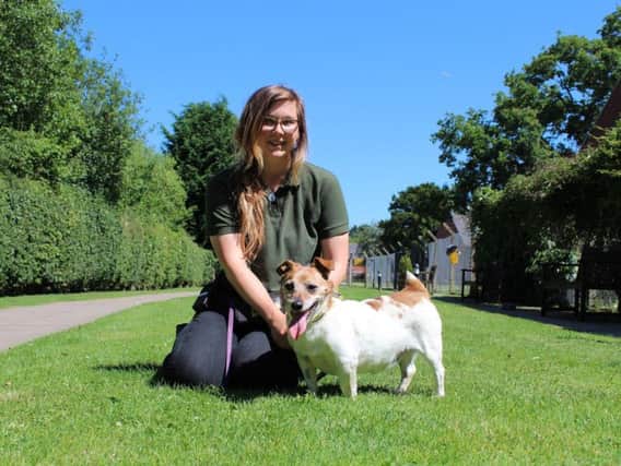 Tonks with canine carer Megan Gourlay. Photo supplied.