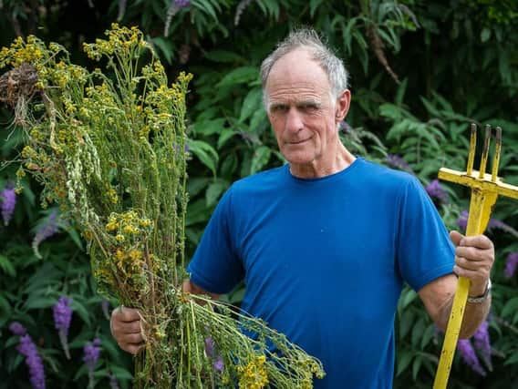 Robin Smith-Ryland, owner of Sherbourne Park with ragwort.