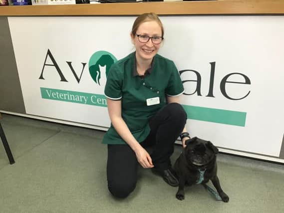 Bella with Katie Wain, clinical director at Avonvale Veterinary Centres.