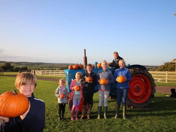 William Mew and other members of the Ellis family get set to harvest the
bumper pumpkin crop at Hilltop Farm (pictured back left to right are: Tilly Ellis, Beatrice Ellis, Esmee Ellis, Evie Constable, Alice Constable and Ed Ellis).