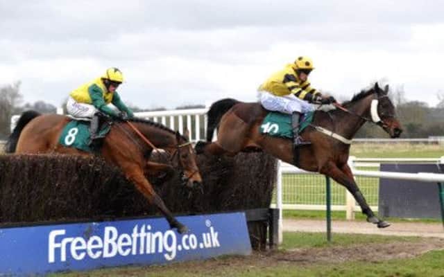 Bally Sands and Cerium (nearside) jump the last in the feature race at Warwicks Coutryside Day last Sunday.