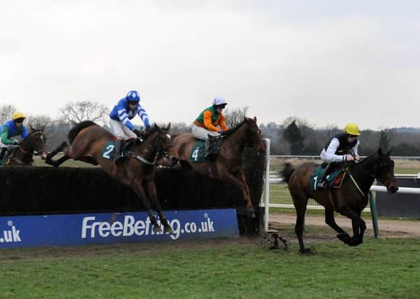 Outsider Emma Soda (2), seen here jumping the last fence on the first circuit, produced a  stirring finish to land the Brandon Hire Group Handicap Chase.