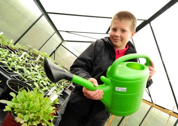 Joe Bousfield, 11, has been nominated for the 2013 Young School Gardener of the Year Award, by the Royal Horticultural Society.