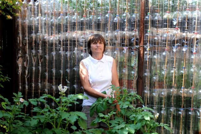 MHLC-16-07-13 bottles Jul158
Pat Gorman has now built two greenhouses out of donated plastic bottles.
