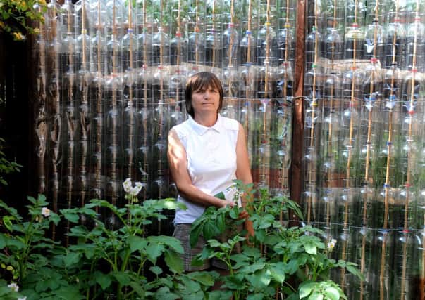 MHLC-16-07-13 bottles Jul158
Pat Gorman has now built two greenhouses out of donated plastic bottles.