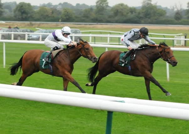 There was a thrilling finish to division two of the Irish Stallion Farms EBF Maiden Fillies Stakes with Artistic Charm and jockey James Doyle (far side) just getting the better of Song Of Norway and Seb Sanders. 
MHLC 03-10-13 races Oct21