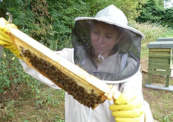 A beekeeper with a 'frame' of bees