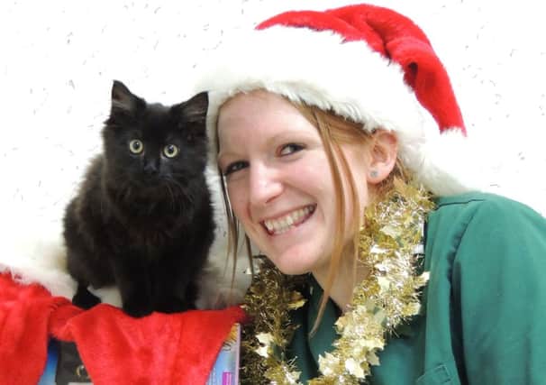 Sarah Bleach, veterinary nurse , and Rita the cat promote Avonvale's Christmas relief operation.