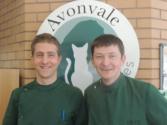 Avonvale boar members