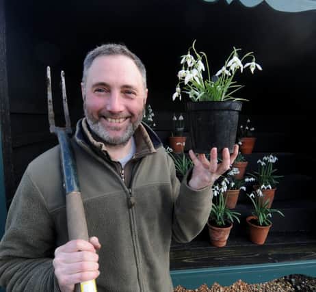 Hill Close Gardens' head gardener Gary Leaver shows off some of the snowdrops on display.