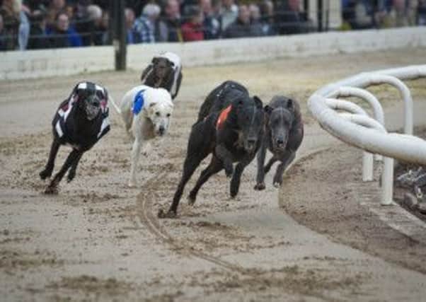 Coventry Dogs