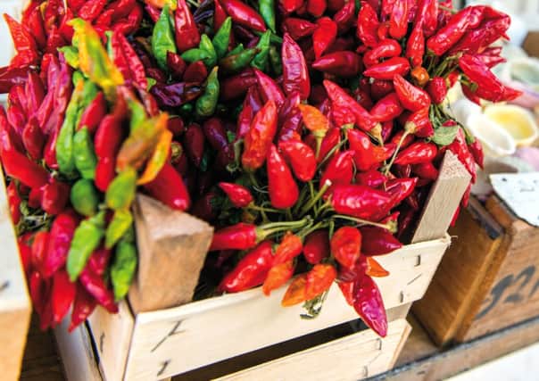 CXWKC6 Red chili peppers Alberobello Puglia South of Italy