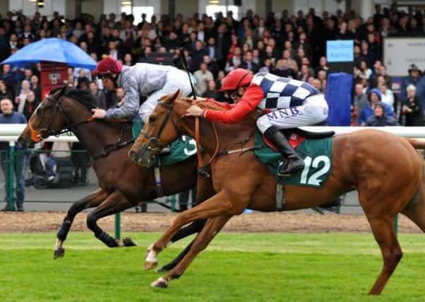 Frankie Dettori pilots Doomah to victory on Saturday evening. Picture: Les Hurley
