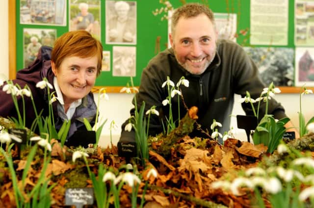 Hill Close Gardens trustee Margaret Begg with head gardener Gary Leaver with snowdrops at the site earlier this year.