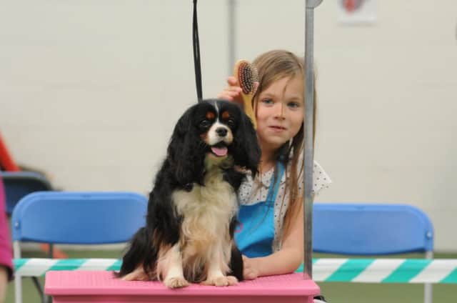 Seven-year-old Madison Millington and her dog Bella in the dog grooming competition.