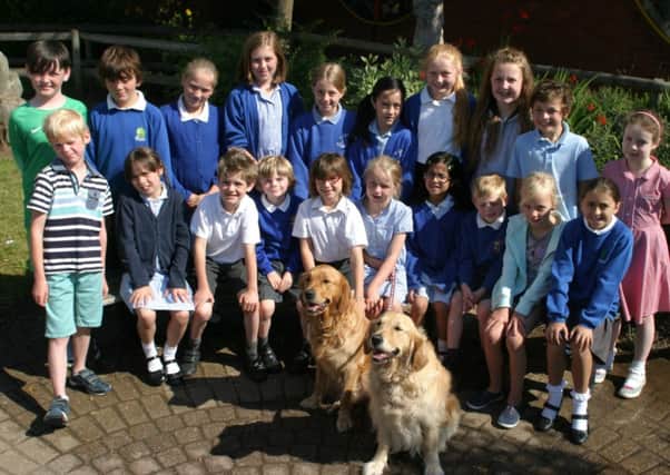 Members of the Milverton, Brookhurst and Telford Schools' Collaboration Council with guide dogs.
