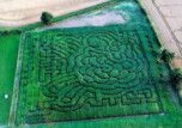 The new maze at Hilltop Farm in Hunningham.
