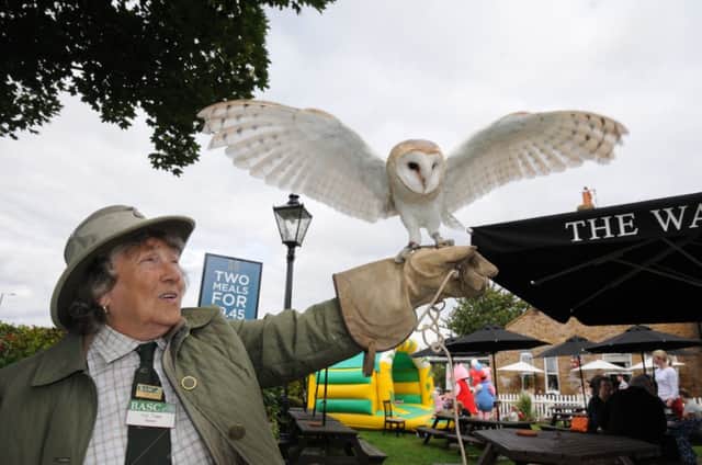 Iris Towe from Iris May Falcons with her one-year-old barn owl Portia at the Waterside Inn's charity weekend.