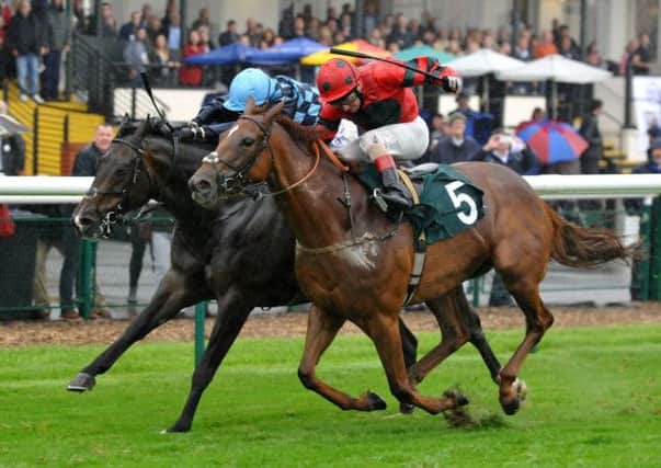 Louis Vee, ridden by Luke Morris, gets up to beat College Doll (5)  in the Leamington Food & Drink Festival Handicap. Picture: Les Hurley