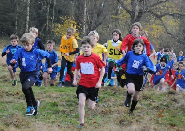 Runners tackle the ditch at Priory Park during the final race of the Mid-Warwickshire Primary Schools XC League. Picture: Morris Troughton