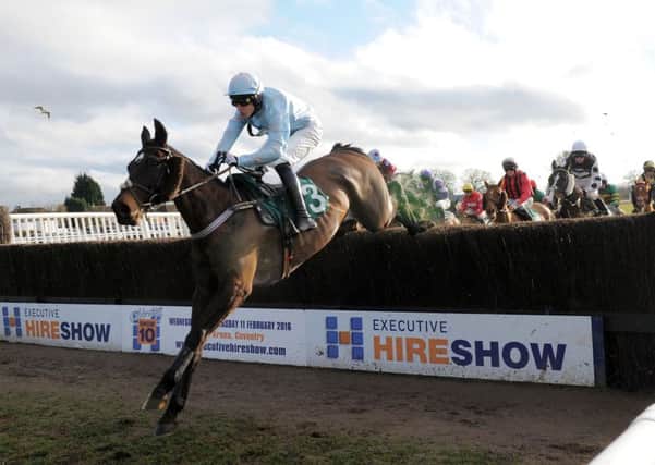 Carli King, seen here jumping the last on the first circuit, led all the way to win The Whites Free Skips  Handicap Chase. Picture: Les Hurley