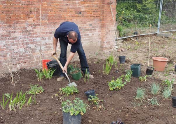 A volunteer works on a patch at Guy's Cliffe Walled Garden