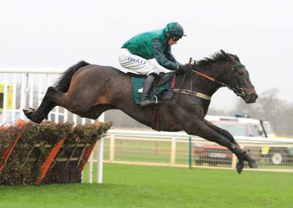 Sceau Royal jumps the last flight in front of Winterfell on his way to a comfortable success in the juvenile hurdle. Picture: dwprattracingphotography.co.uk