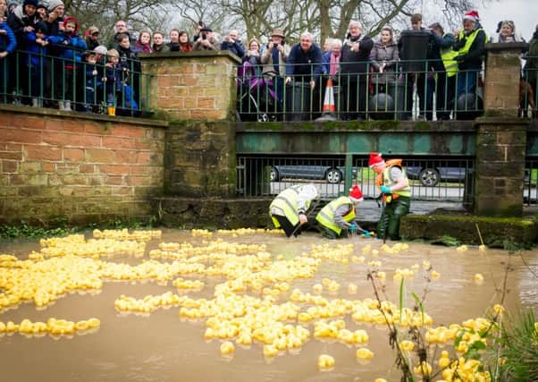 Crowds gathered at The Ford, Castle Road in Kenilworth to watch the annual Boxing Day Duck Race. NNL-151226-161511009