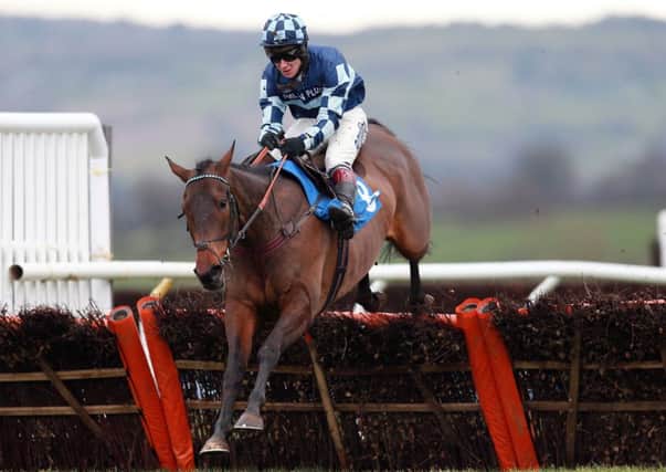 Mountain King on his way to victory in the Ludlow For Functions Novices' Hurdle at Ludlow Racecourse.
