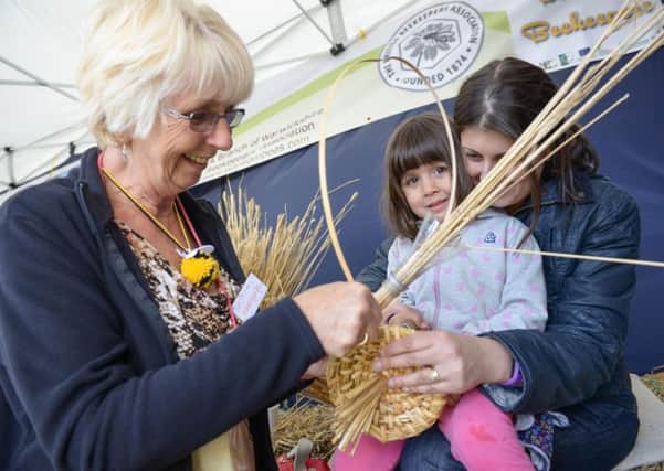 Educational activities from last year's Kenilworth Show