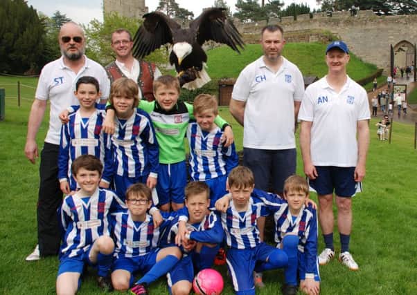 Kenilworth Town's under-nine sides met their eagle and hawks namesakes at Warwick Castle. Picture submitted