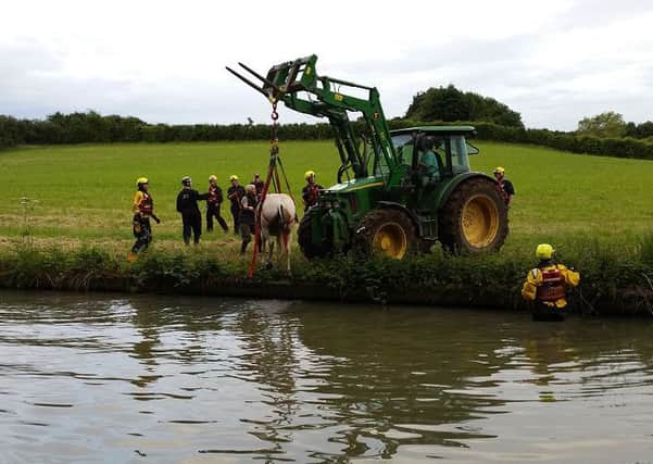 Horse Rescue: Pictures from Warwickshire Fire and Rescue Service