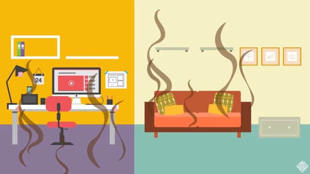 House plants can suck dangerous toxic chemicals out of the air - leaving it cleaner to breathe, according to new research