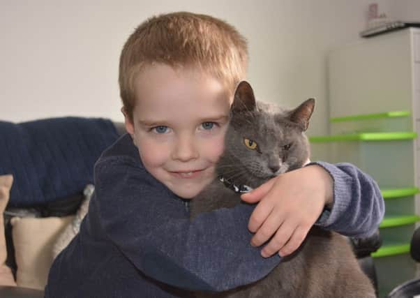 Bonnie the cat was attacked by a dog and has ended up having one of her legs amputated.