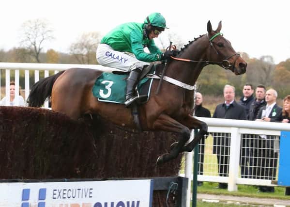 Top Notch clears the final fence in the Highflier/Million In Mind Novice Chase. Picture: www.dwprattracingphotography.co.uk